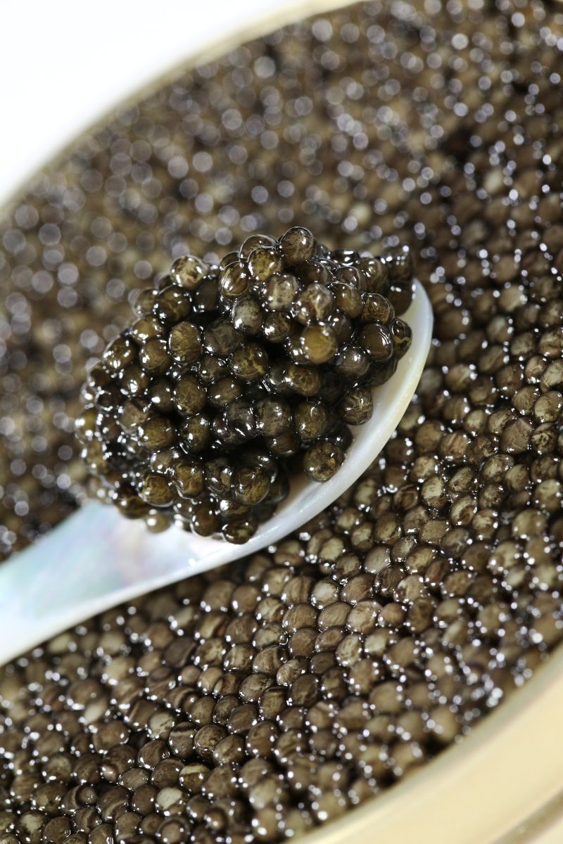 Cuillère en nacre - comment manger le caviar